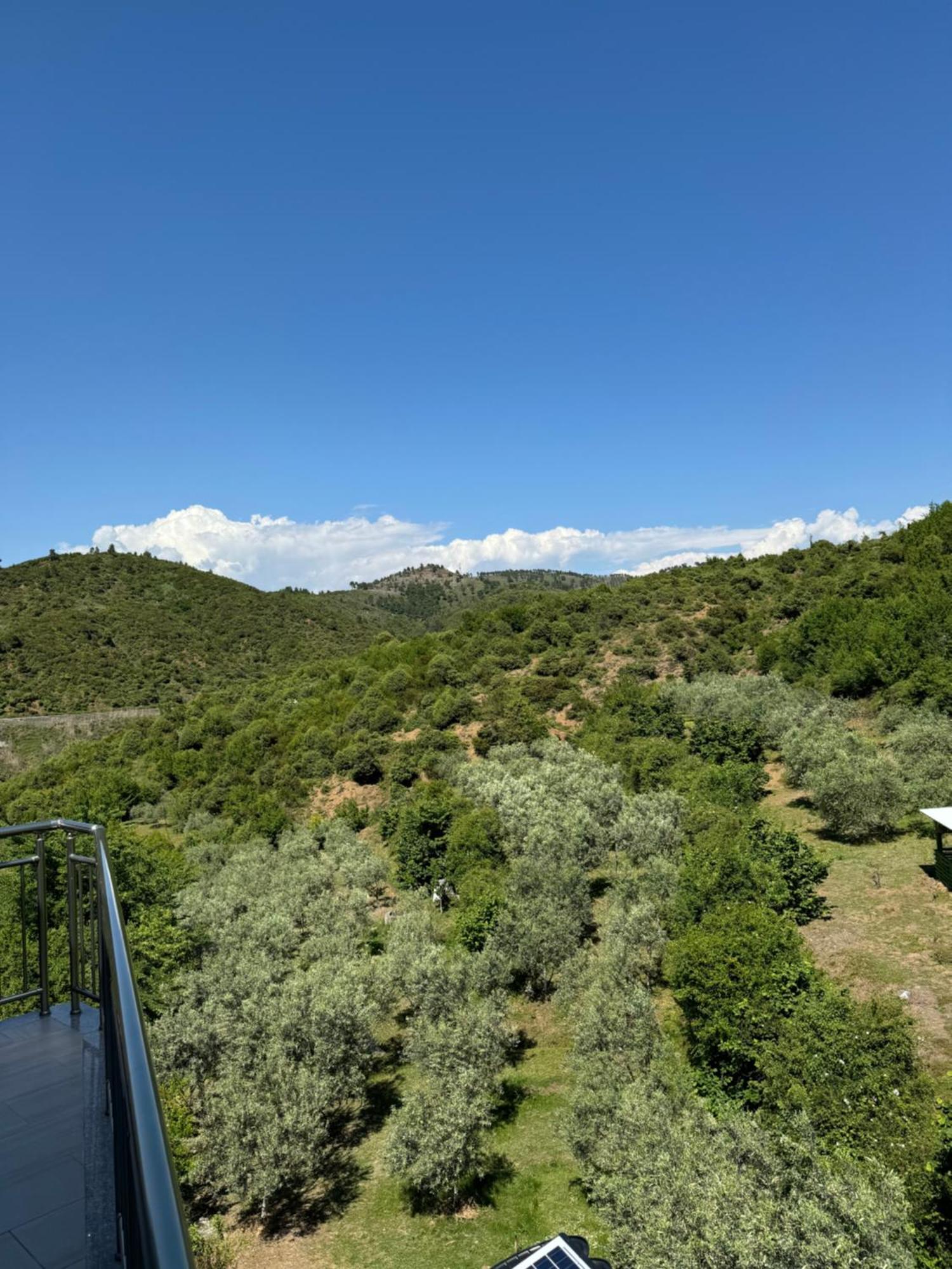 Qyteza Guest House & Camping Shkodra Exterior foto